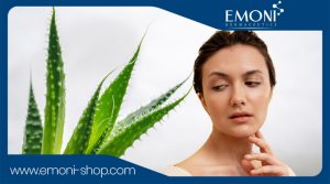 aloevera2
